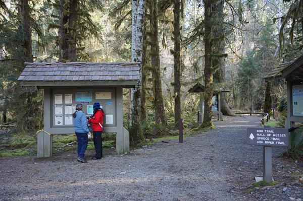 Two hikers looking at a kiosk with posted signs next to a rainforest trailhead.