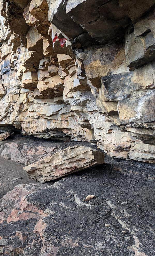 Combination of rocks that include Sandstone, shale, conglomerate, and coal.