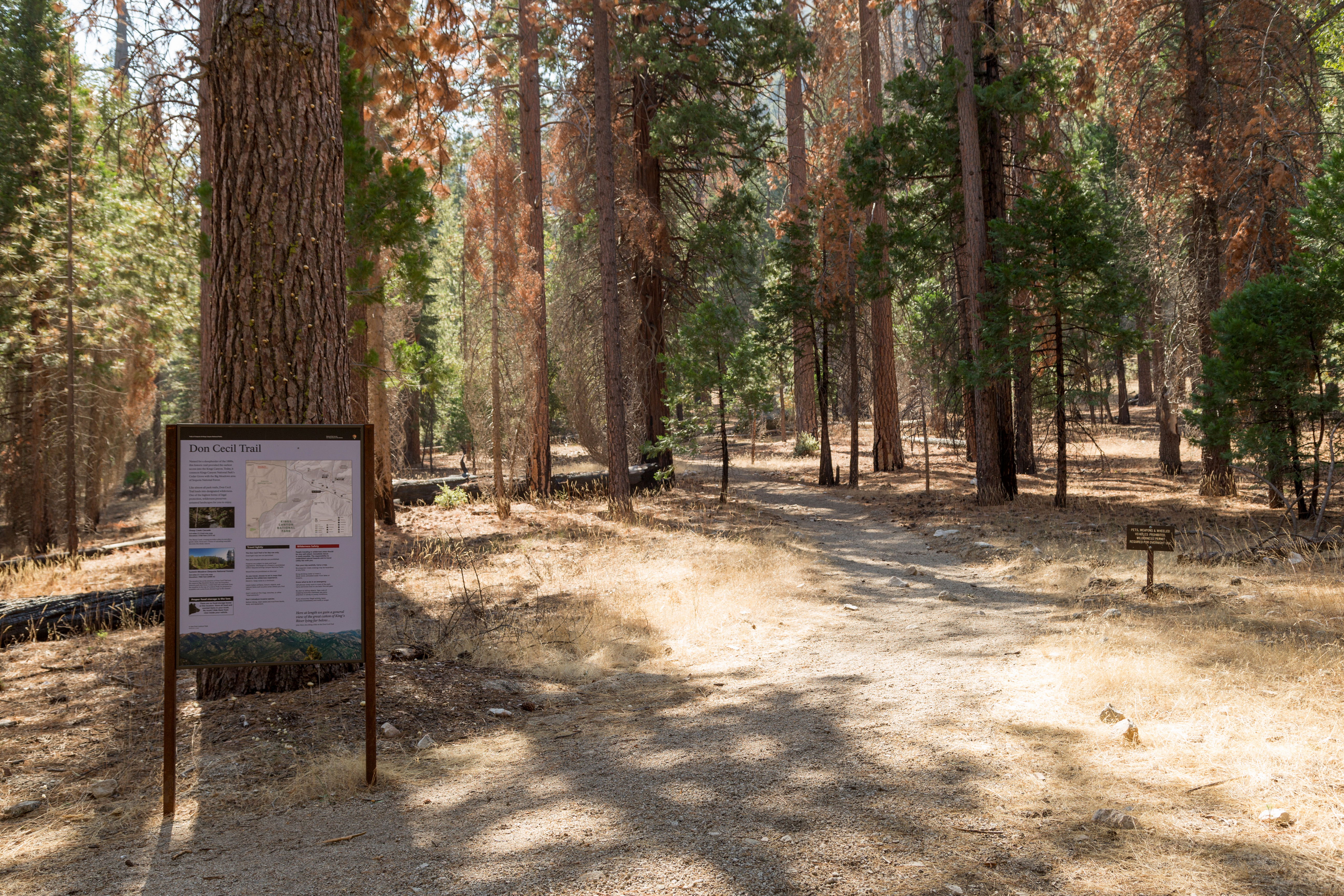 Don Cecil Trailhead