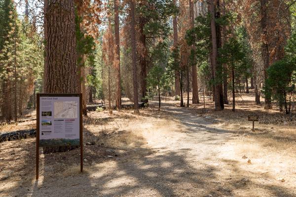 A metal sign sits next to a dirt trail that leads through trees