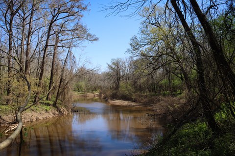 A wide, curving creek with trees and green shrubs lining its banks.