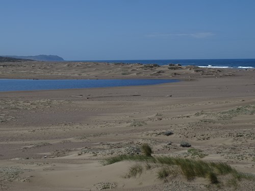 Abbotts Lagoon Beach