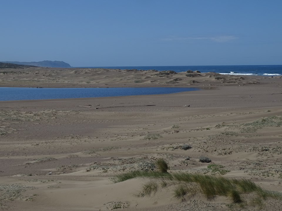 Sand and dunes, some sparsely covered by vegetation, separates a shallow lagoon and the ocean.