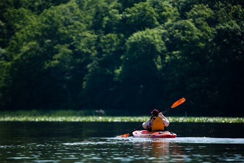 A person paddles an orange kayak on a river with trees in the background.