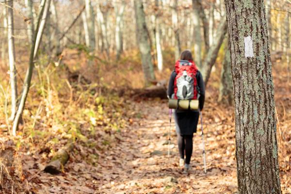 A hiker walks down a trail with a tree trunk marked with a white blaze in the foreground.
