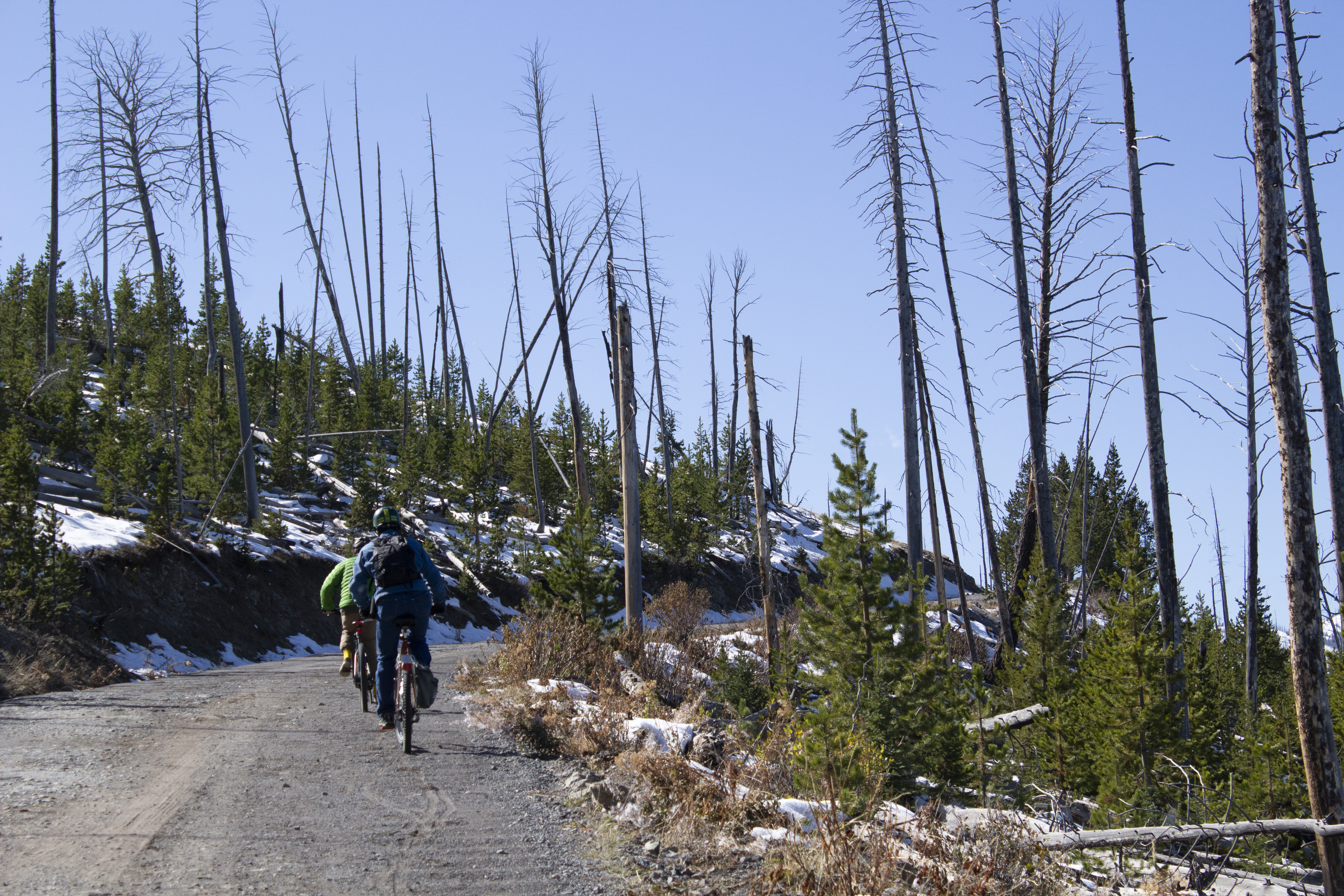 Mount Washburn Bike Trail