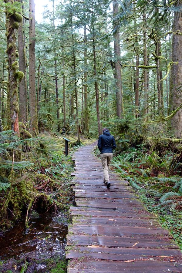 A person in a raincoat walks down a boardwalk trail surrounded by dense rainforest.