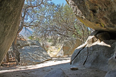 View from inside a dark granite cave out to a bright sunny day, mahogany trees at the entrance.