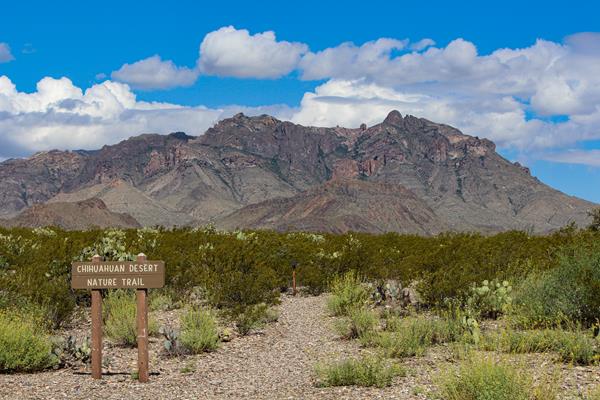 A gravel path begins next to a brown wooden trailhead sign and heads west towards the Chisos Mtns.