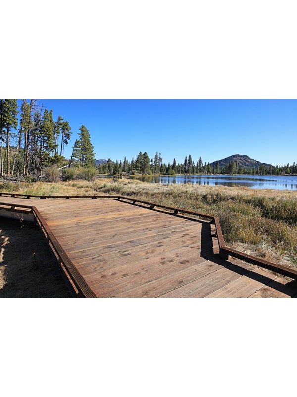 A section of the Sprague Lake Boardwalk overlooking the lake