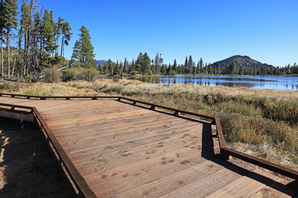 A section of the Sprague Lake Boardwalk overlooking the lake