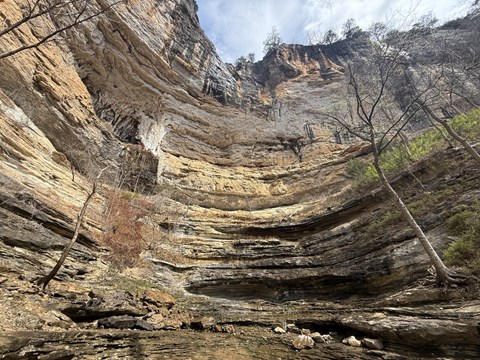 A large sandstone bluff line surrounded by small redbud trees.