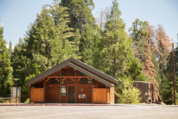A wooden building stands in front of tall green trees.