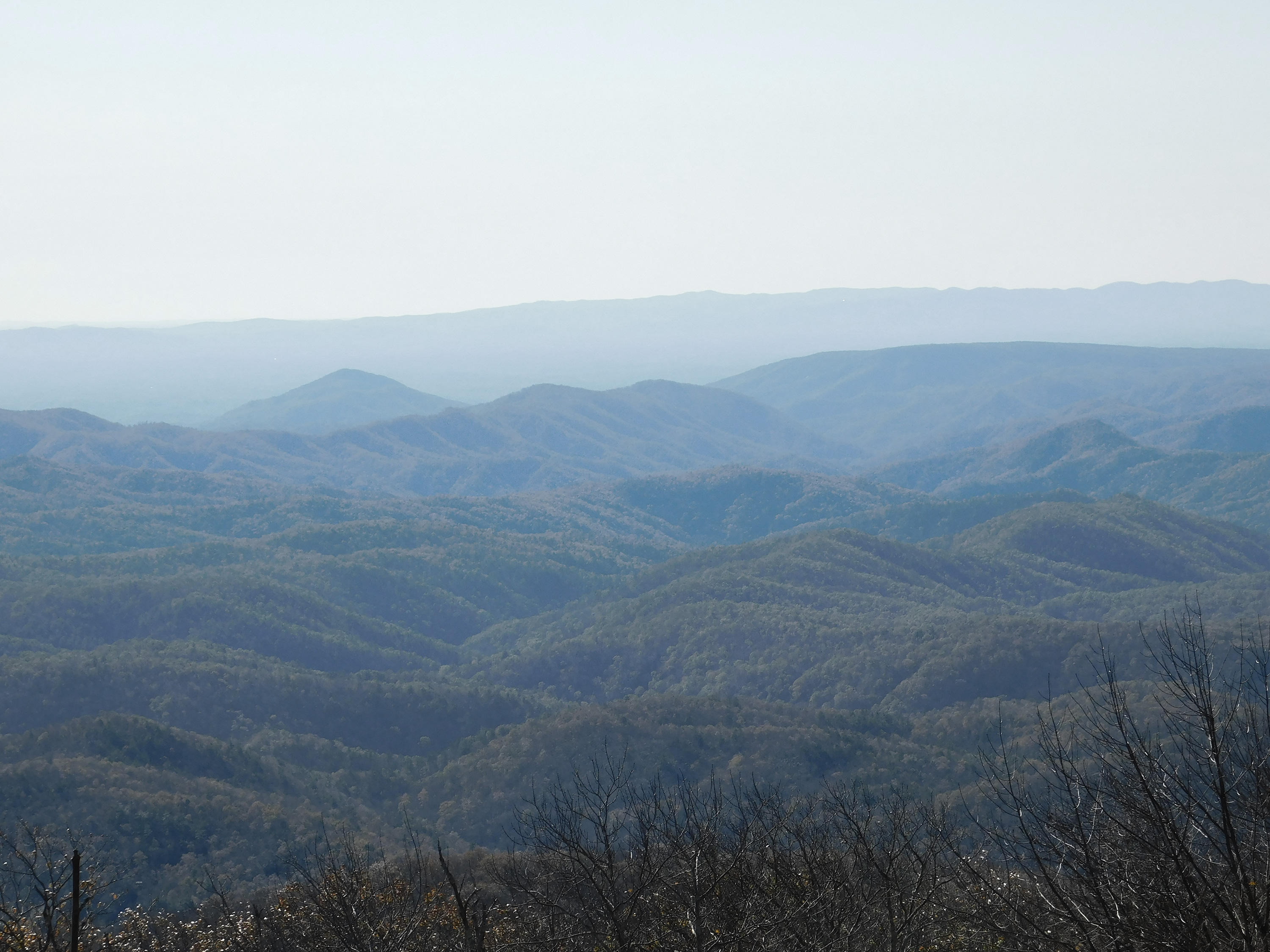 Wilson Creek Valley Overlook