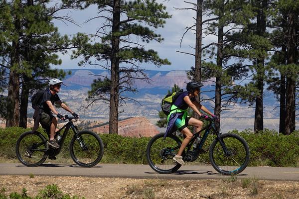 Two cyclists ride along paved forested path