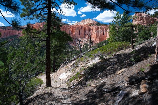 Distant orange rock cliffs are seen through a forest along a sandy trail