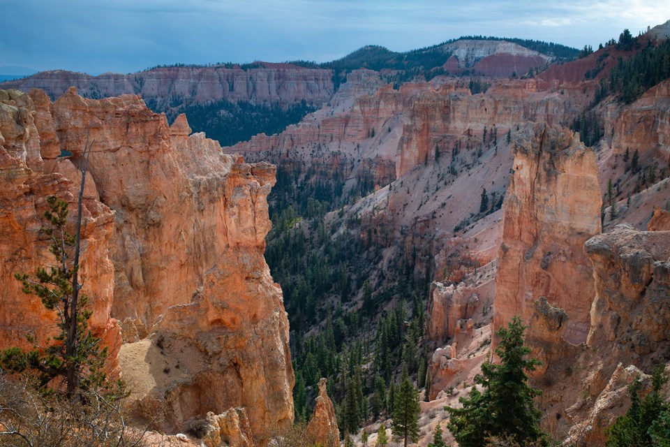 Glowing limestone cliffs tower above a forested canyon