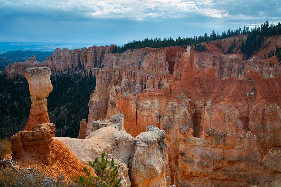 Glowing limestone red rocks stand in a forested bowl at the edge of a high plateau