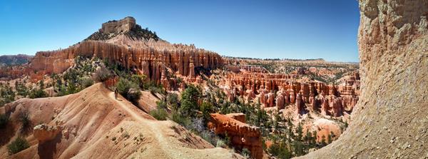 A red rock landscape of rock spires and forest with a beaten path travelling through it