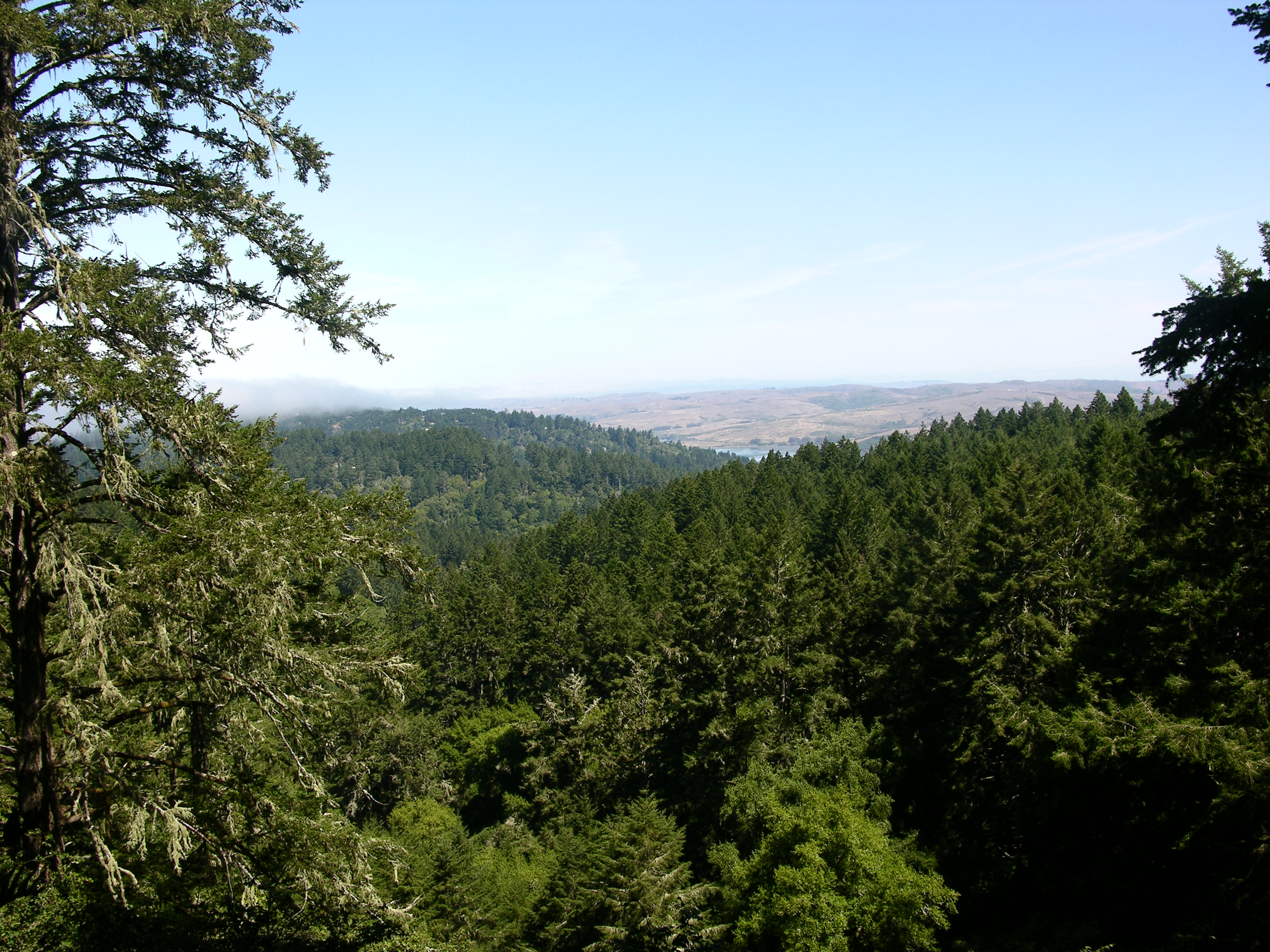 Hike the Meadow–Horse Trails Loop