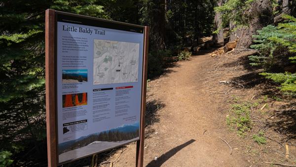 A blue trailhead sign with the trail to the right.