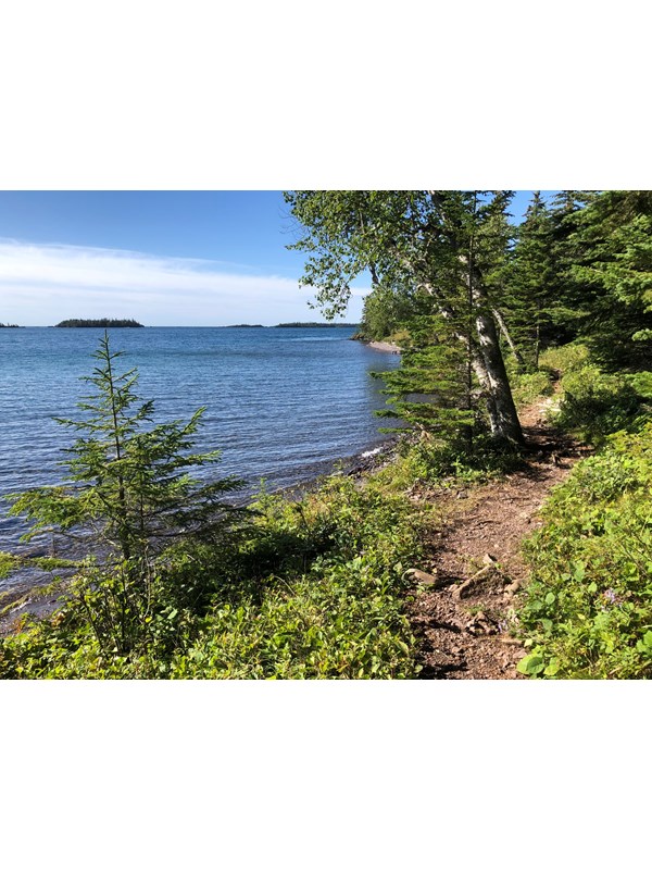 A trail along a shoreline surrounded by trees and shrubs near a lake with islands in distance.