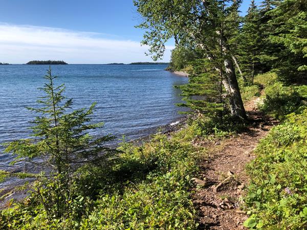 A trail along a shoreline surrounded by trees and shrubs near a lake with islands in distance.