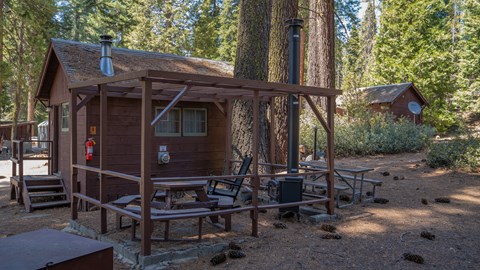 Several small cabins set close together among trees at Grant Grove