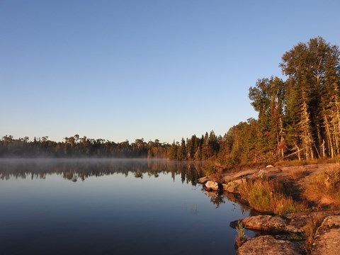 A rocky shoreline before a forest by a lake.