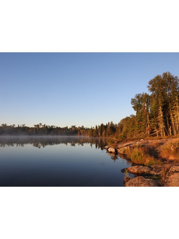 A rocky shoreline before a forest by a lake.