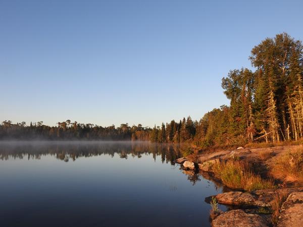 A rocky shoreline before a forest by a lake.