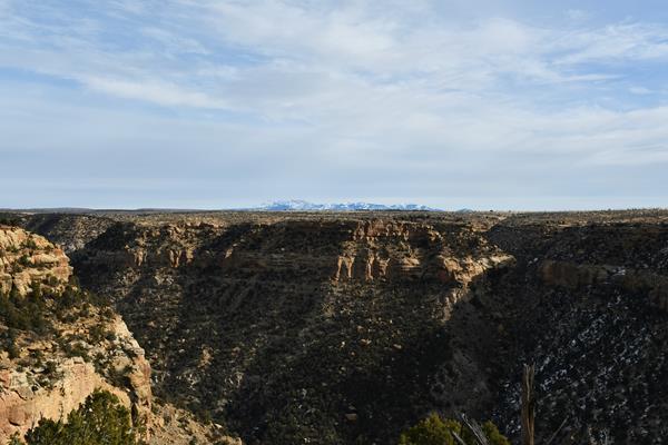 Pinyon pines and junipers grow on the slopes of a sandstone canyon. Mountains rise in the distance.
