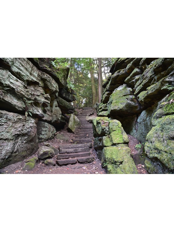 Staircase of rough-hewn gray stones winds between two walls of green moss-covered rock, up to trees.