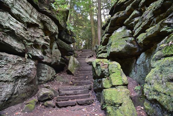 Staircase of rough-hewn gray stones winds between two walls of green moss-covered rock, up to trees.