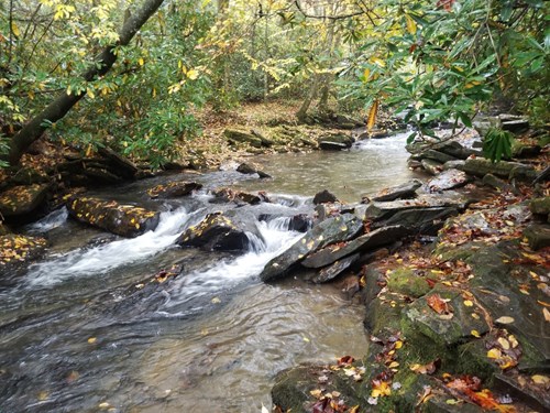 Camp Creek Overlook