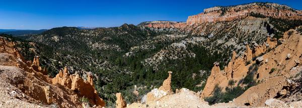 A forested depression surrounded by bright orange and pink limestone cliffs and rock spires