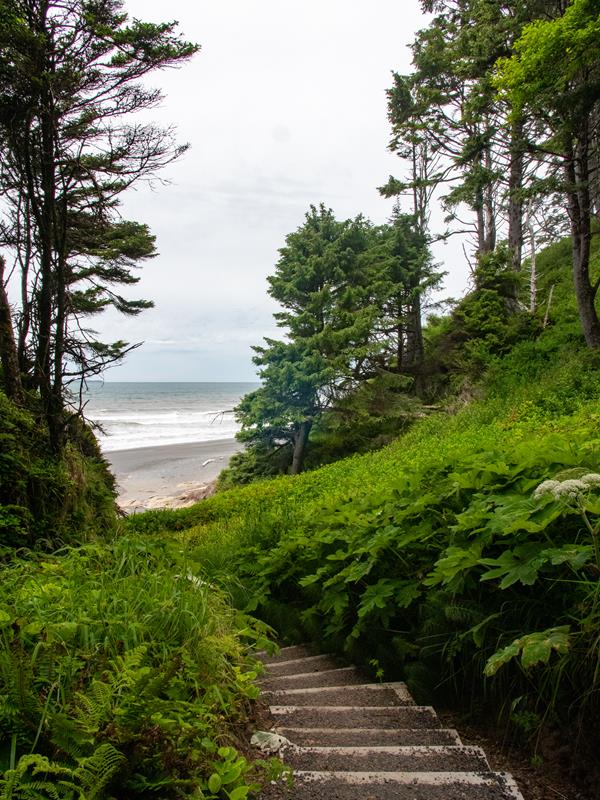 Gravelly staircase leads through foliage down toward a beach.