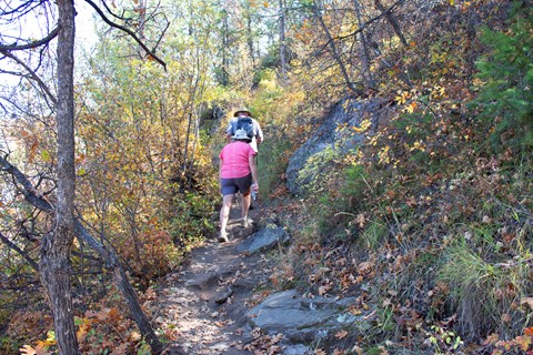 Two hikers climbing a dirt trail through autumn-colored oak brush and conifers