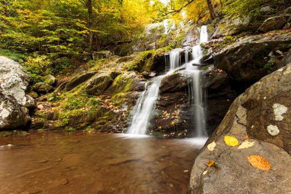 A waterfall cascades under trees with the yellow leaves of fall.