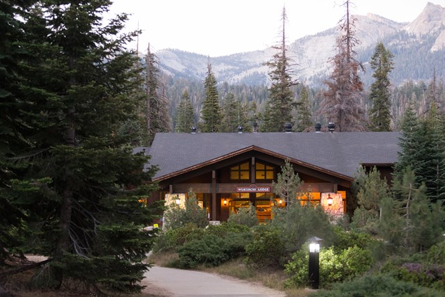Wuksachi Lodge lit up among tall trees