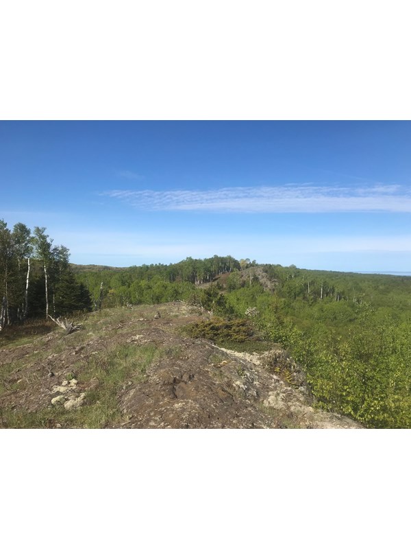 The trail crosses an exposed rocky ridge surrounded by forest.