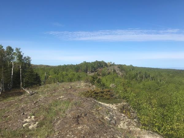 The trail crosses an exposed rocky ridge surrounded by forest.