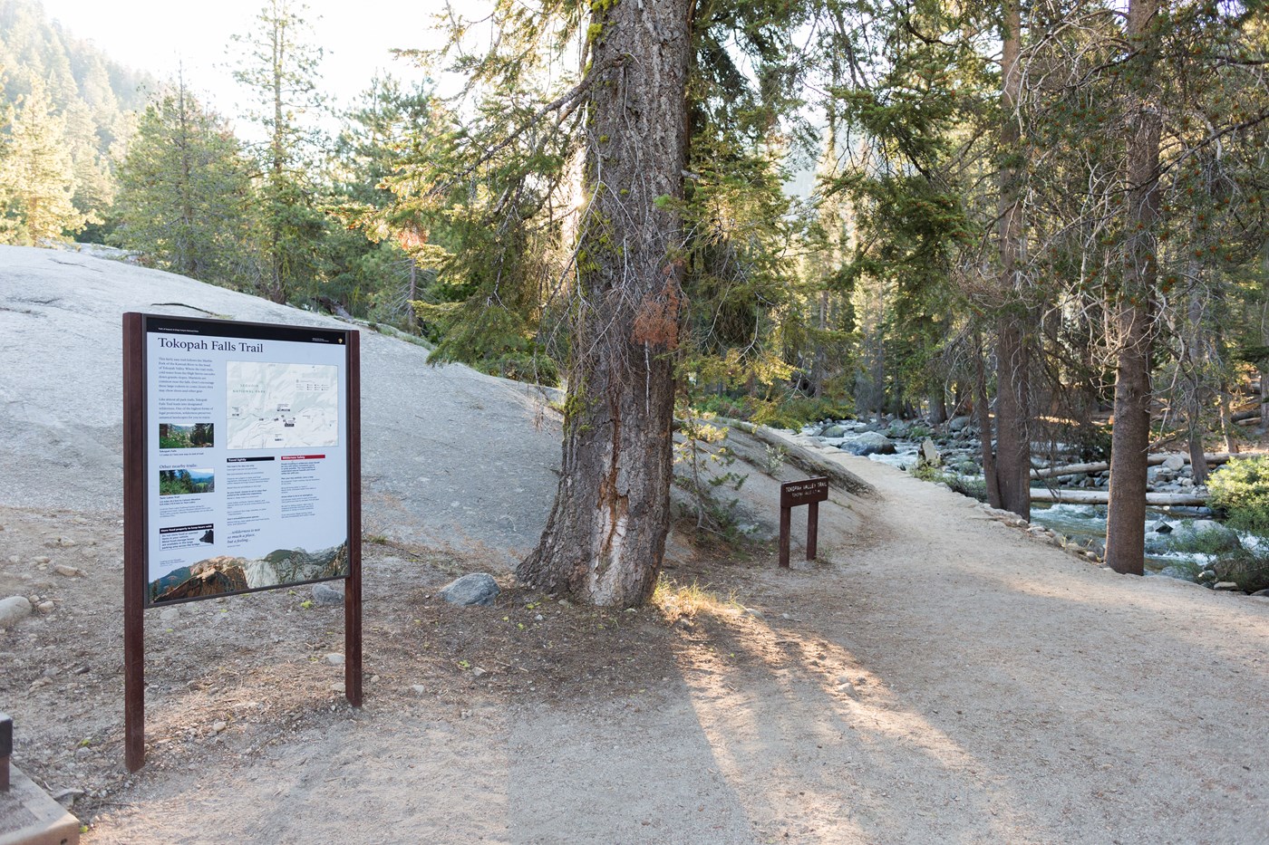 A dirt trail runs alongside a river between tall trees