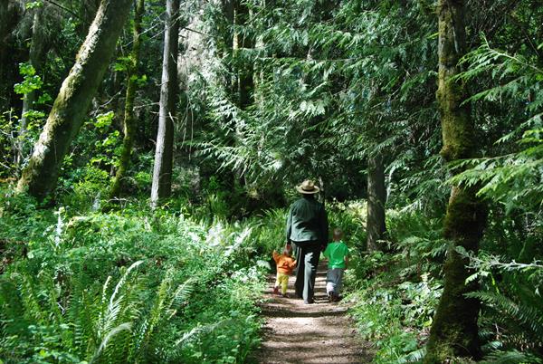 An adult and two children walk a forest trail surrounded by cedar trees and tall ferns