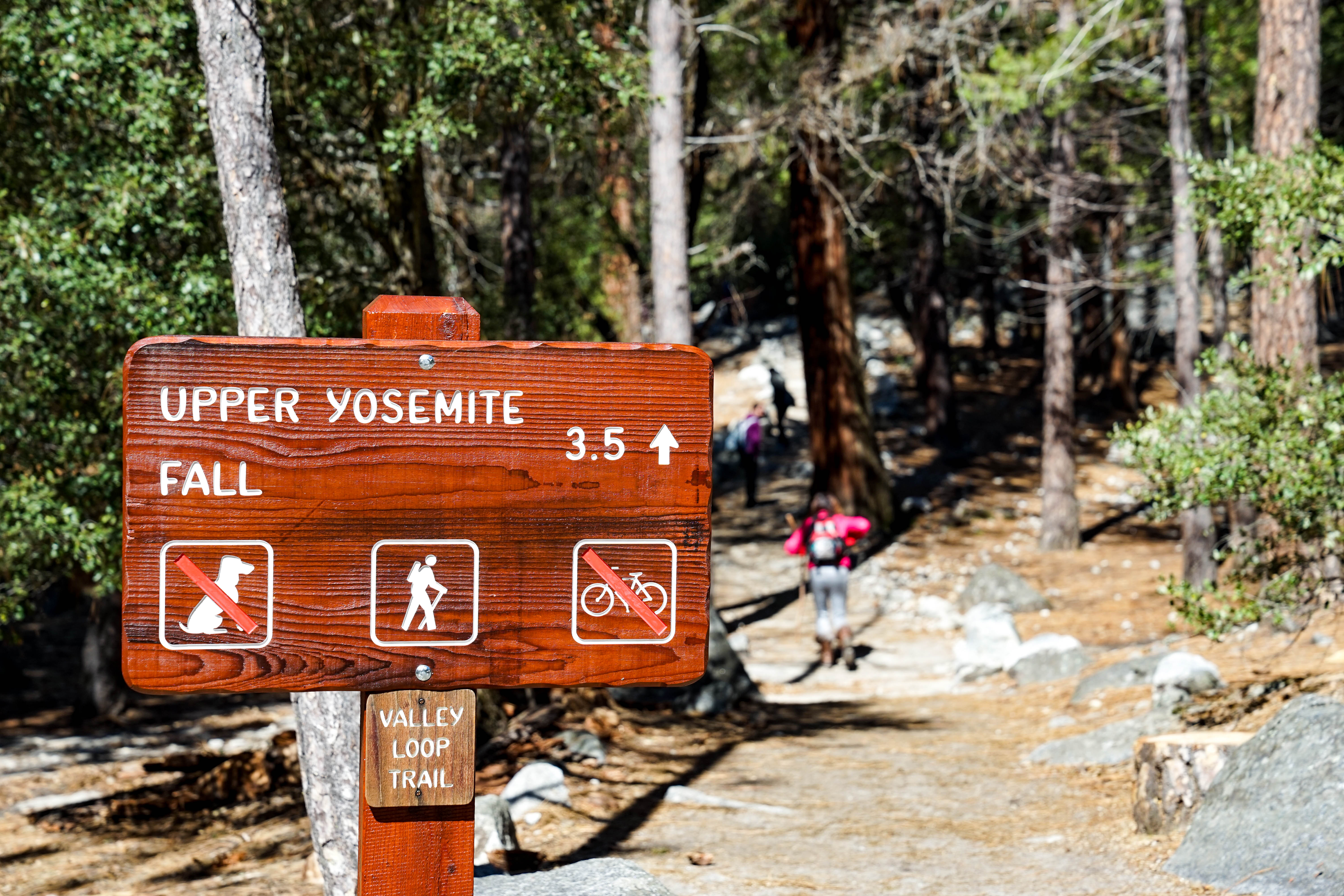 Wooden sign at trailhead