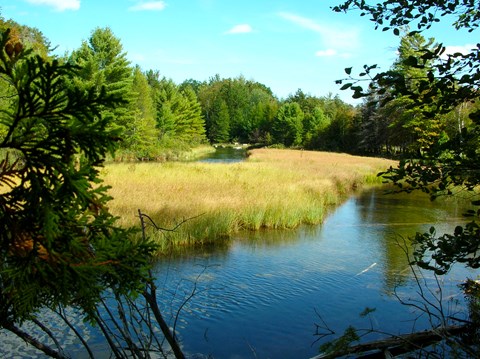 Clear, shallow river reflects the sky as it winds through light green grasses