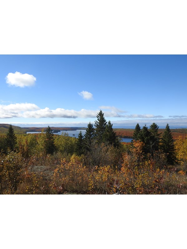 View of interior lake surrounded by forest on an island in a lake.