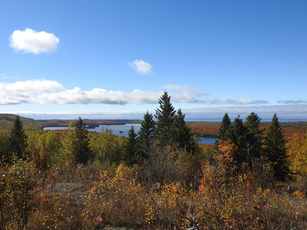 View of interior lake surrounded by forest on an island in a lake.