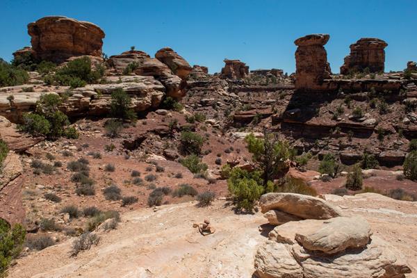 Brown rock spires, beige sandstone benches, and green shrubs line the canyon at Big Spring Overlook.