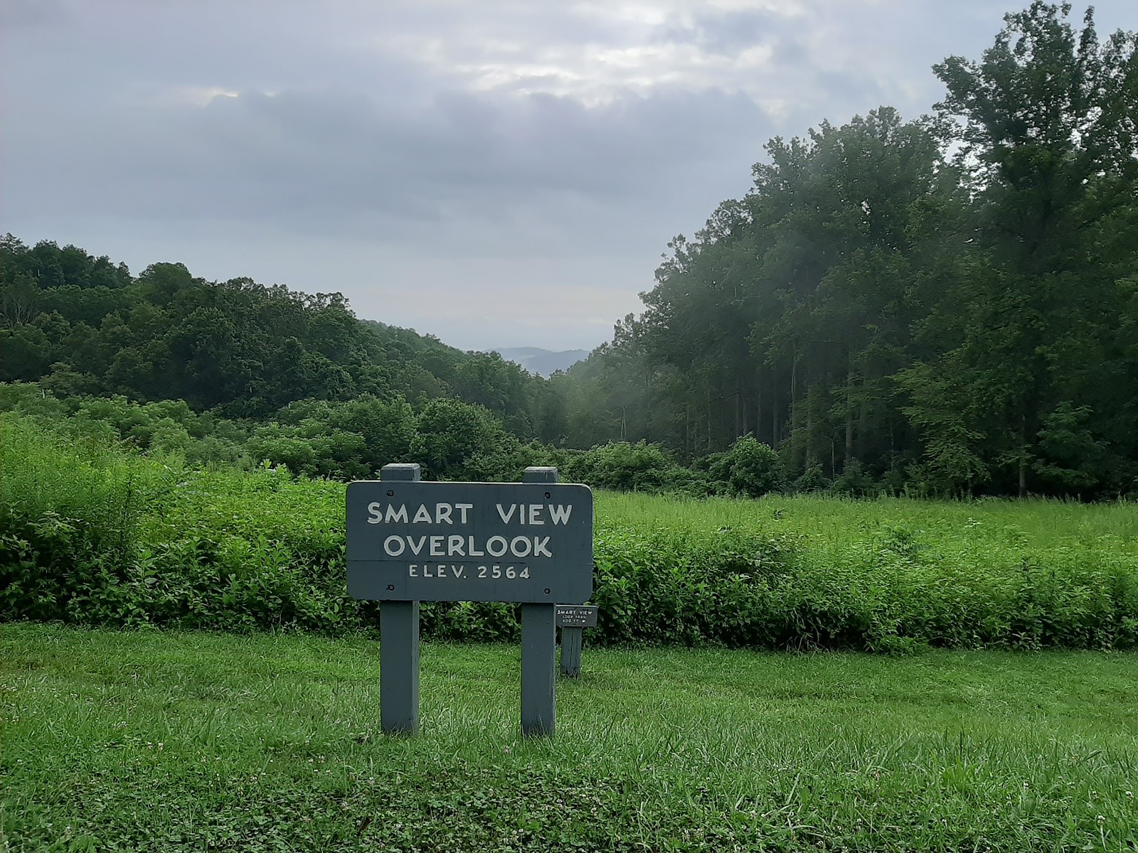 Smart View Overlook